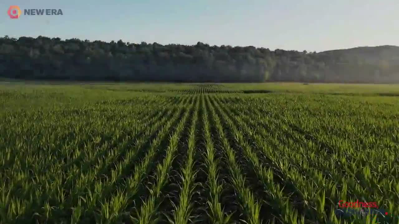 Video 3